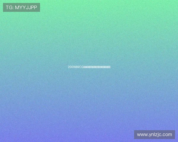 2009年WCG全球总决赛回顾与电子竞技发展趋势分析